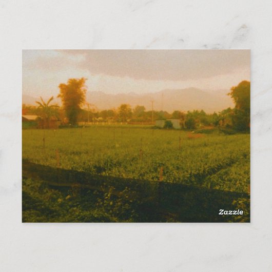 Vang Vieng - Laos Briefkaart (Achterkant)