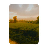 Vang Vieng - Laos  Magneet (Verticaal)