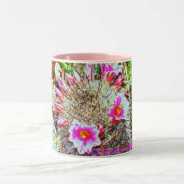 Vanghaakcactus met Mok van roze bloemen