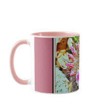 Vanghaakcactus met Mok van roze bloemen