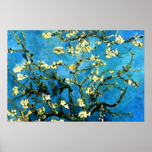 VanGogh Amandelboom BloesemSometimes Poster