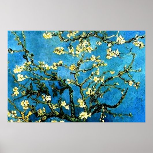 VanGogh Amandelboom BloesemSometimes Poster (Voorkant)