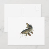 Vangst Briefkaart (Voorkant / Achterkant)