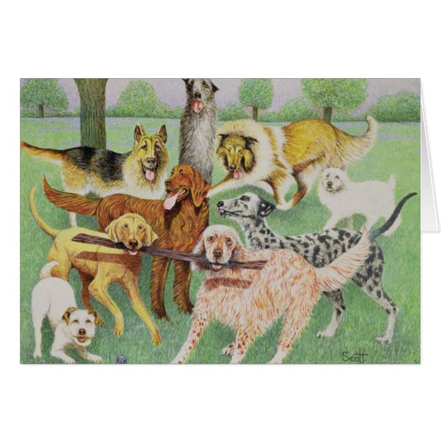 Vangst en vervoer (Voorkant Horizontaal)