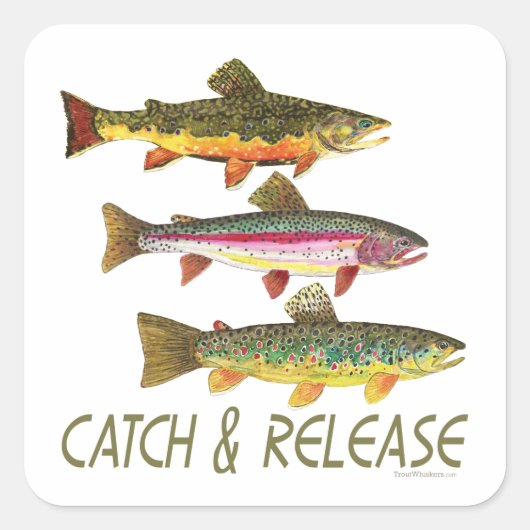 Vangst en vrijgave van forel vierkante sticker (Voorkant)
