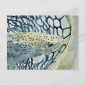 Vangst en vrijgave Vist Design Briefkaart (Voorkant)