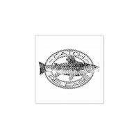 Vangst en vrijlating Brook Trout Gevist
