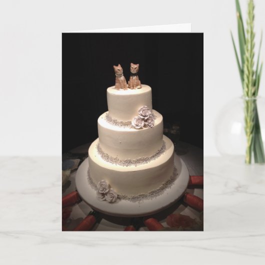 Vangst Kaart (Voorkant)