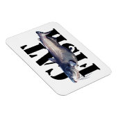 Vangst Magneet (Rechterzijde)