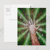 Vangstlicht Briefkaart (Voorkant / Achterkant)