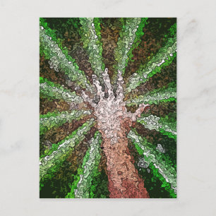 Vangstlicht Briefkaart