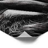 Vangstlucht - Bergbakketzak voor digitale micropos Poster (Hoek)