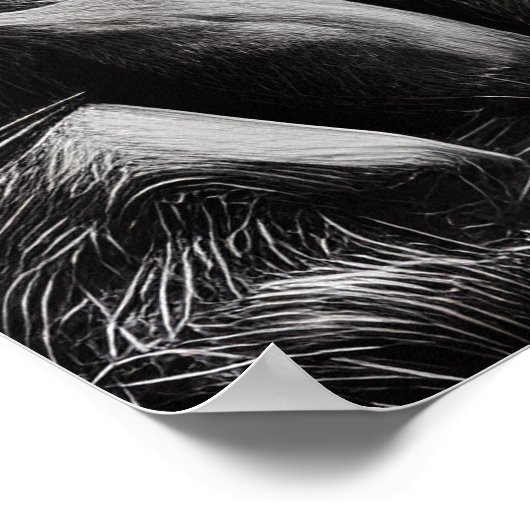 Vangstlucht - Bergbakketzak voor digitale micropos Poster (Hoek)