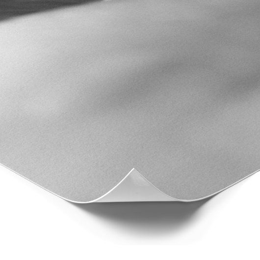 Vangstregen Poster (Hoek)