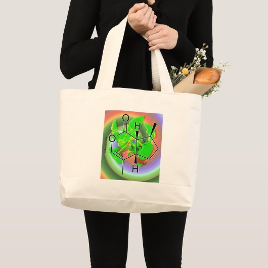 Vangstvisreis Grote Tote Bag (Voorkant (product))