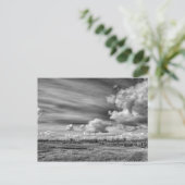 Vangstwolken (zwart-wit) briefkaart (Staand voorkant)