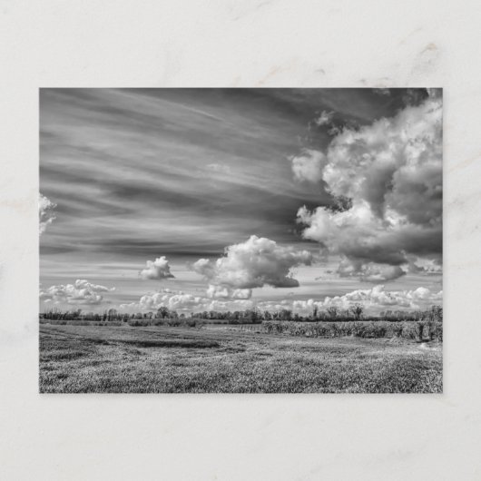 Vangstwolken (zwart-wit) briefkaart (Voorkant)