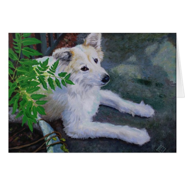 Vanilla Bean (Voorkant Horizontaal)