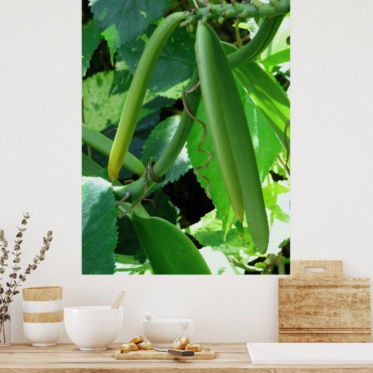 Vanilla Orchid Beans Poster (Keuken)