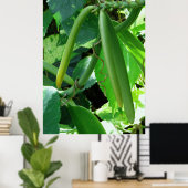 Vanilla Orchid Beans Poster (Thuiskantoor)