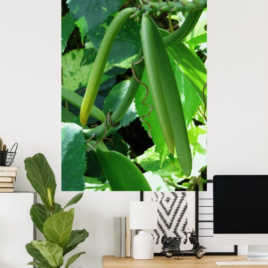 Vanilla Orchid Beans Poster (Thuiskantoor)