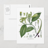 Vanilla planifolia briefkaart (Voorkant / Achterkant)