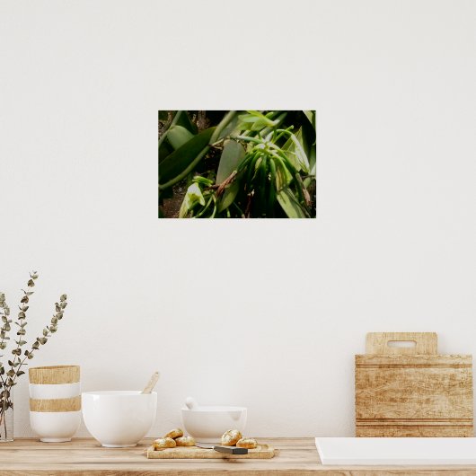 Vanilla Plant Orchids Afbeelding Poster (Keuken)