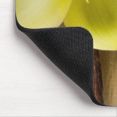 Vanilla Pods and Flower over Wooden Background Muismat (Hoek)