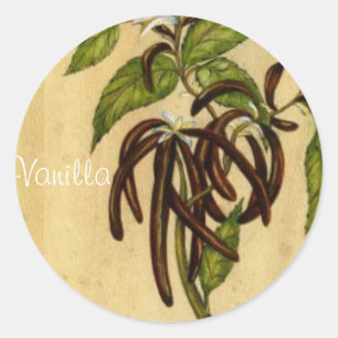 Vanilla Ronde Sticker
