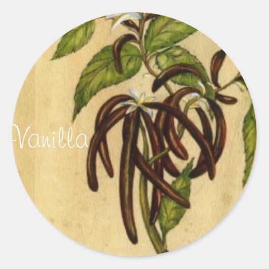 Vanilla Ronde Sticker (Voorkant)