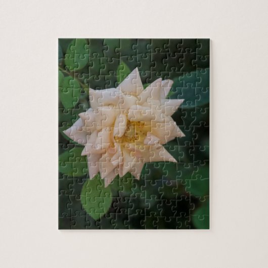 Vanilla Roos Legpuzzel (Verticaal)