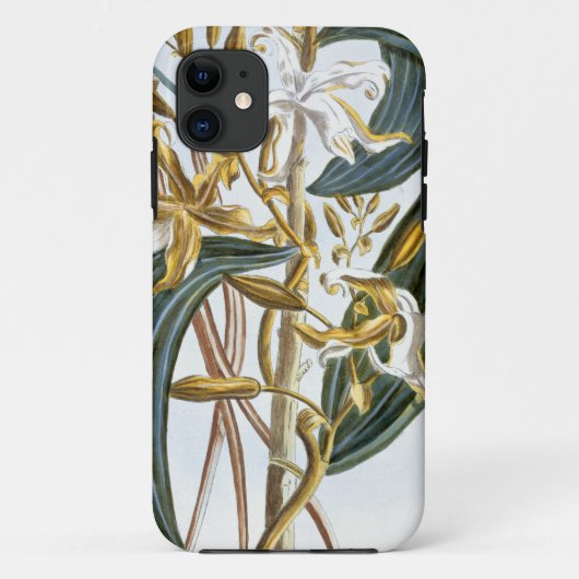 vanillespeulen, bord 65, van 'Collectie edele euse Case-Mate iPhone Case (Achterkant)