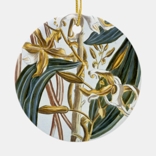 vanillespeulen, bord 65, van 'Collectie edele euse Keramisch Ornament (Voorkant)