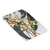 vanillespeulen, bord 65, van 'Collectie edele euse Magneet (Rechterzijde)
