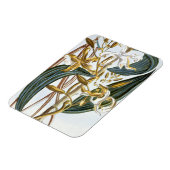 vanillespeulen, bord 65, van 'Collectie edele euse Magneet (Linkerzijde)