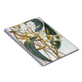 vanillespeulen, bord 65, van 'Collectie edele euse Notitieboek (Rechterzijde)