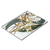 vanillespeulen, bord 65, van 'Collectie edele euse Notitieboek (Linkerzijde)