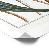 vanillespeulen, bord 65, van 'Collectie edele euse Poster (Hoek)