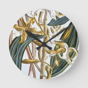 vanillespeulen, bord 65, van 'Collectie edele euse Ronde Klok