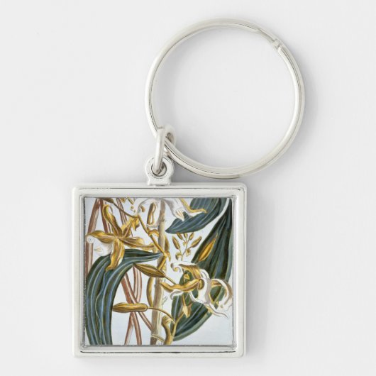 vanillespeulen, bord 65, van 'Collectie edele euse Sleutelhanger (Voorkant)
