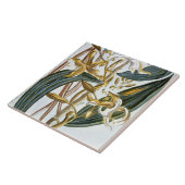 vanillespeulen, bord 65, van 'Collectie edele euse Tegeltje (Zijkant)