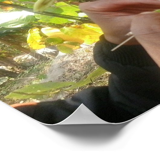 vanillevloerbestuiving poster (Hoek)