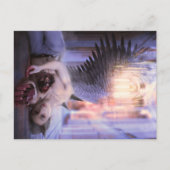 Vanishing Briefkaart (Voorkant)