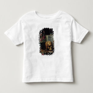 Vanitas Kinder Shirts
