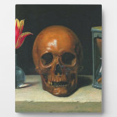 Vanitas leeft nog steeds 1671 van Philippe de Cham Fotoplaat (Voorkant)