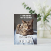 Vanlentine Cat Feed Me gedicht Briefkaart (Staand voorkant)