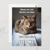 Vanlentine Cat Feed Me gedicht Briefkaart (Voorkant / Achterkant)