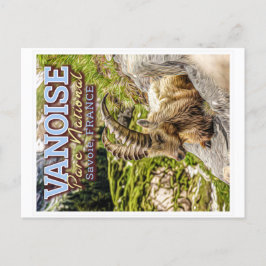 VANOISE NATIONAL PARK - SAVOIE FRANCE - IBEX BRIEFKAART