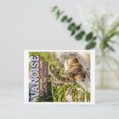 VANOISE NATIONAL PARK - SAVOIE FRANCE - IBEX BRIEFKAART (Staand voorkant)