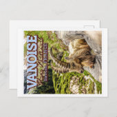 VANOISE NATIONAL PARK - SAVOIE FRANCE - IBEX BRIEFKAART (Voorkant / Achterkant)